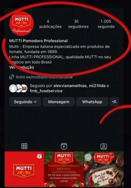 Perfil da Mutti antes, com 36 seguidores
